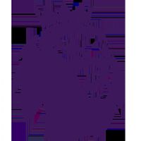 Ӣ�� ����ķvs����20251203